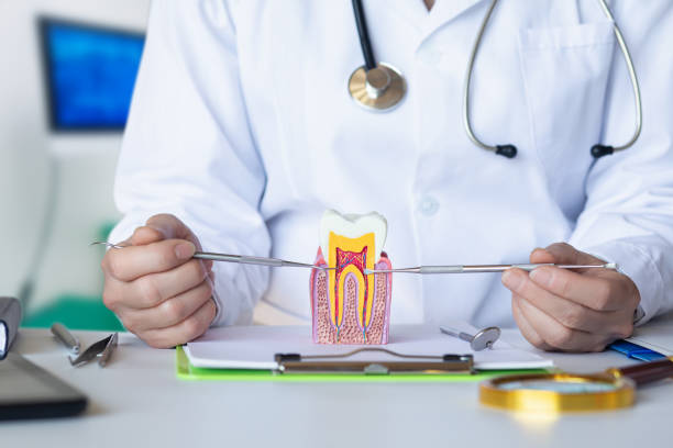 Best Chipped Tooth Repair Near Me  in Jensen Beach, FL